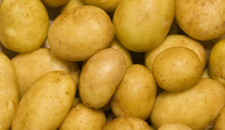 helle-Kartoffeln